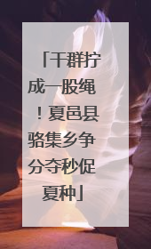 干群拧成一股绳！夏邑县骆集乡争分夺秒促夏种