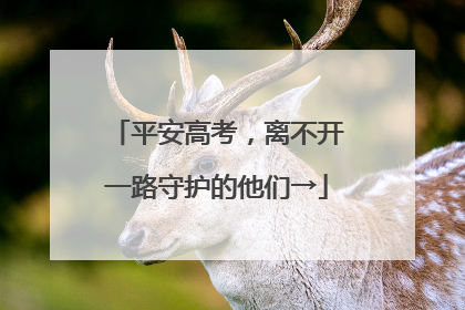 平安高考，离不开一路守护的他们→