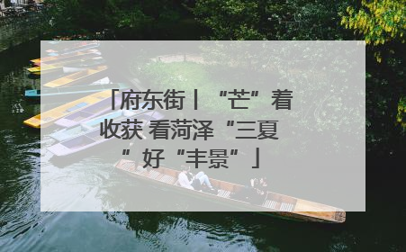 府东街丨“芒”着收获 看菏泽“三夏”好“丰景”