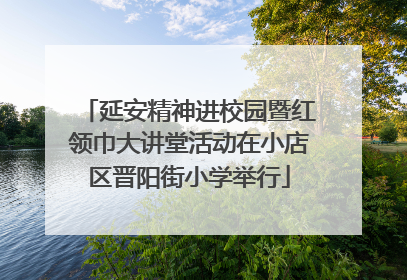 延安精神进校园暨红领巾大讲堂活动在小店区晋阳街小学举行