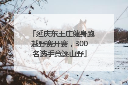延庆东王庄健身跑越野赛开赛，300名选手竞逐山野