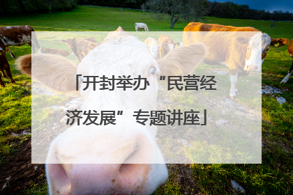开封举办“民营经济发展”专题讲座