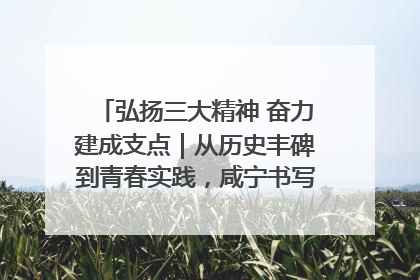 弘扬三大精神 奋力建成支点｜从历史丰碑到青春实践，咸宁书写精神传承新篇章