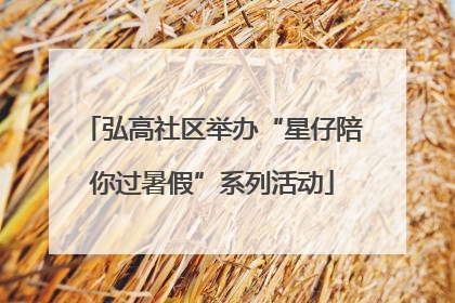 弘高社区举办“星仔陪你过暑假”系列活动