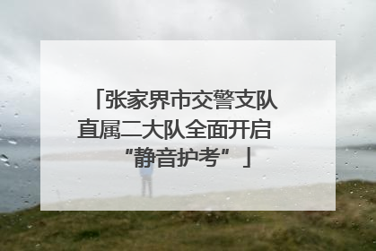 张家界市交警支队直属二大队全面开启“静音护考”