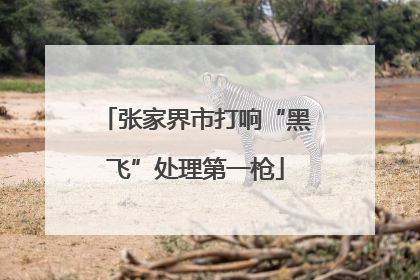 张家界市打响“黑飞”处理第一枪