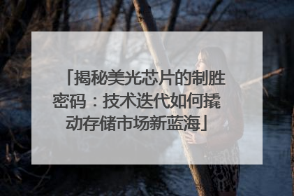 揭秘美光芯片的制胜密码：技术迭代如何撬动存储市场新蓝海