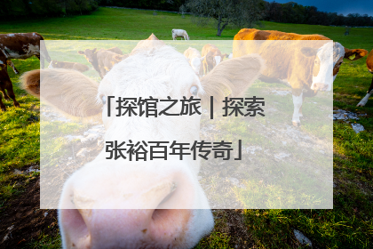 探馆之旅｜探索张裕百年传奇