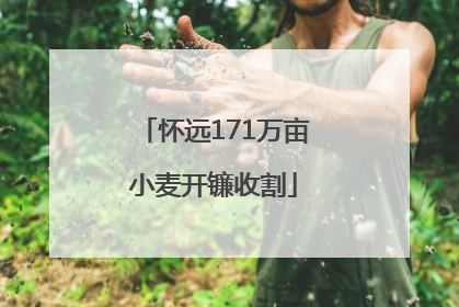 怀远171万亩小麦开镰收割