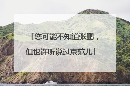 您可能不知道张鹏，但也许听说过京范儿