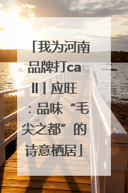 我为河南品牌打call丨应旺：品味“毛尖之都”的诗意栖居