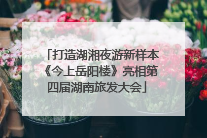 打造湖湘夜游新样本《今上岳阳楼》亮相第四届湖南旅发大会