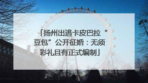 扬州出逃卡皮巴拉“豆包”公开征婚：无须彩礼且有正式编制