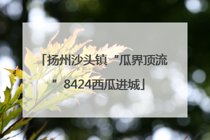 扬州沙头镇“瓜界顶流”8424西瓜进城