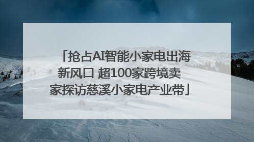 抢占AI智能小家电出海新风口 超100家跨境卖家探访慈溪小家电产业带