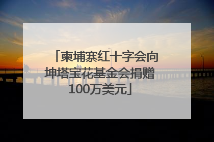 柬埔寨红十字会向坤塔宝花基金会捐赠100万美元