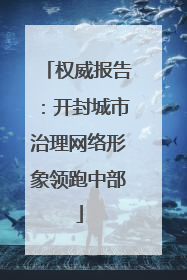 权威报告：开封城市治理网络形象领跑中部