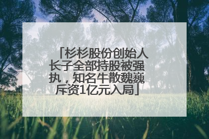 杉杉股份创始人长子全部持股被强执，知名牛散魏巍斥资1亿元入局