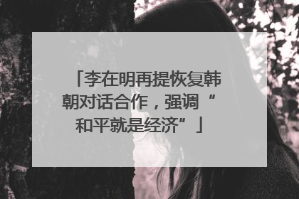 李在明再提恢复韩朝对话合作，强调“和平就是经济”