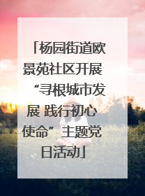 杨园街道欧景苑社区开展“寻根城市发展 践行初心使命”主题党日活动