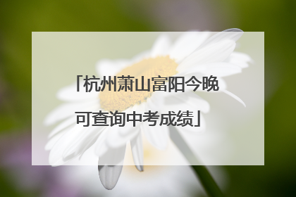 杭州萧山富阳今晚可查询中考成绩