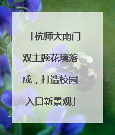 杭师大南门双主题花境落成，打造校园入口新景观