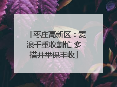 枣庄高新区：麦浪千重收割忙 多措并举保丰收
