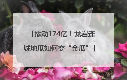 撬动174亿！龙岩连城地瓜如何变“金瓜”