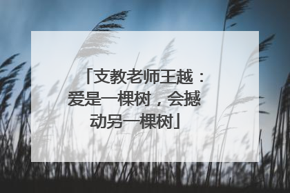 支教老师王越：爱是一棵树，会撼动另一棵树