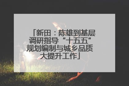 新田：陈雄到基层调研指导“十五五”规划编制与城乡品质大提升工作