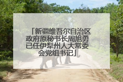 新疆维吾尔自治区政府原秘书长周旭勇已任伊犁州人大常委会党组书记