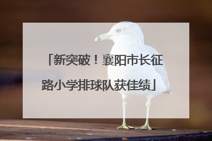 新突破！襄阳市长征路小学排球队获佳绩