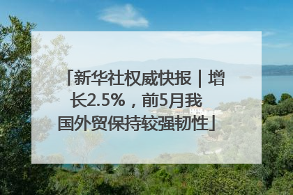 新华社权威快报｜增长2.5%，前5月我国外贸保持较强韧性