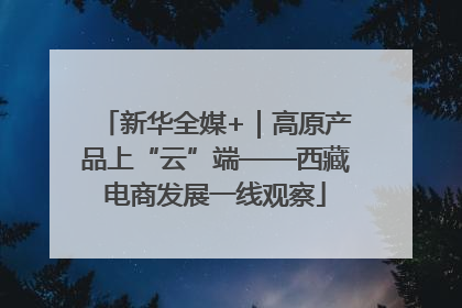 新华全媒+｜高原产品上“云”端——西藏电商发展一线观察