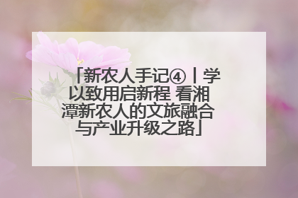 新农人手记④丨学以致用启新程 看湘潭新农人的文旅融合与产业升级之路