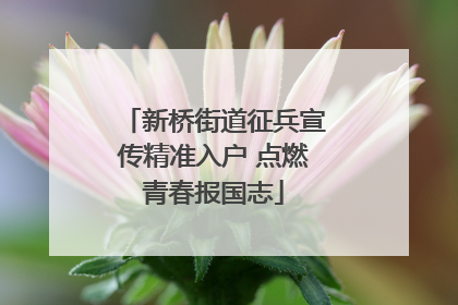 新桥街道征兵宣传精准入户 点燃青春报国志