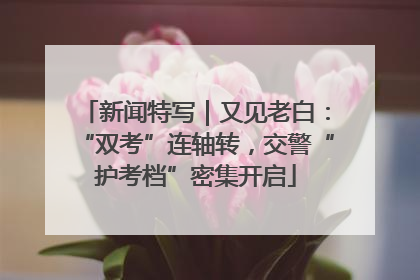 新闻特写｜又见老白：“双考”连轴转，交警“护考档”密集开启