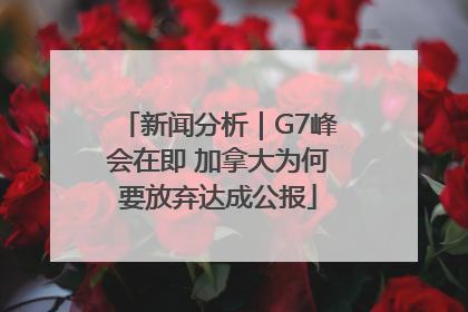 新闻分析｜G7峰会在即 加拿大为何要放弃达成公报