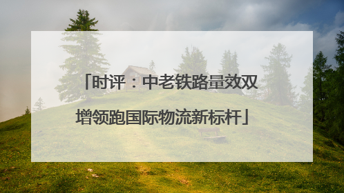 时评：中老铁路量效双增领跑国际物流新标杆