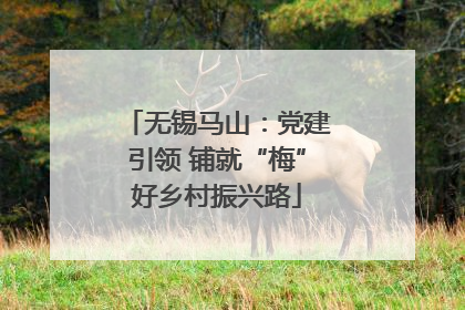 无锡马山：党建引领 铺就“梅”好乡村振兴路