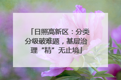 日照高新区：分类分级破难题，基层治理“精”无止境