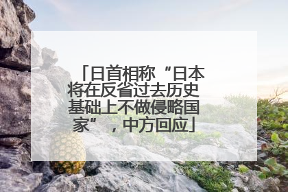 日首相称“日本将在反省过去历史基础上不做侵略国家”，中方回应