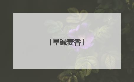 旱碱麦香