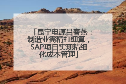 昆宇电源吕春燕：制造业需精打细算，SAP项目实现精细化成本管理