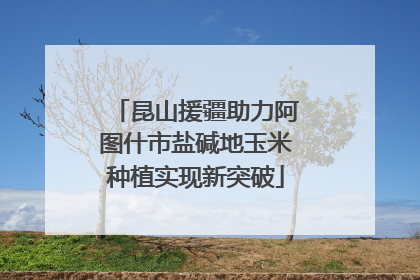 昆山援疆助力阿图什市盐碱地玉米种植实现新突破
