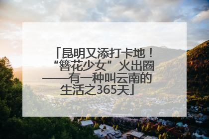 昆明又添打卡地！“簪花少女”火出圈——有一种叫云南的生活之365天