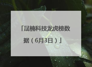 晟楠科技龙虎榜数据（6月3日）