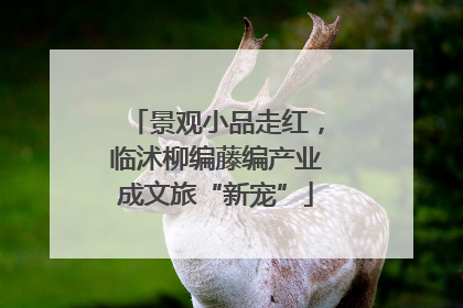 景观小品走红，临沭柳编藤编产业成文旅“新宠”