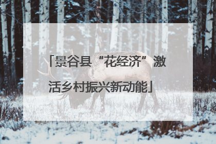 景谷县“花经济”激活乡村振兴新动能