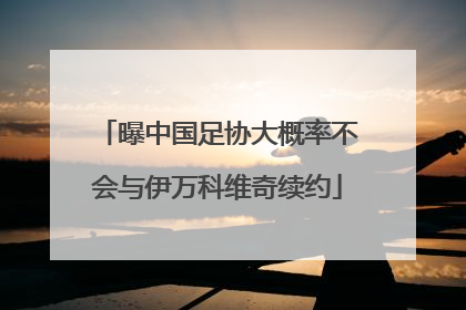 曝中国足协大概率不会与伊万科维奇续约